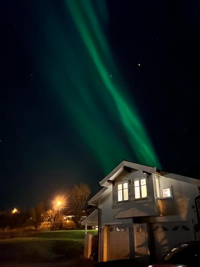 Visit Leif At Senja Apartman Gibostad Kültér fotó